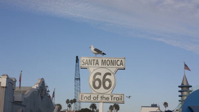 Costa Oeste EE.UU 2014 - Blogs de USA - Venice Beach y Santa Mónica (12)