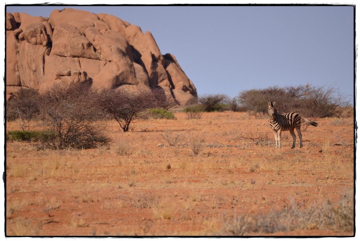 Spitzkoppe - Aventuras por Namibia, Botswana y Cataratas Victoria a nuestra bola (5)