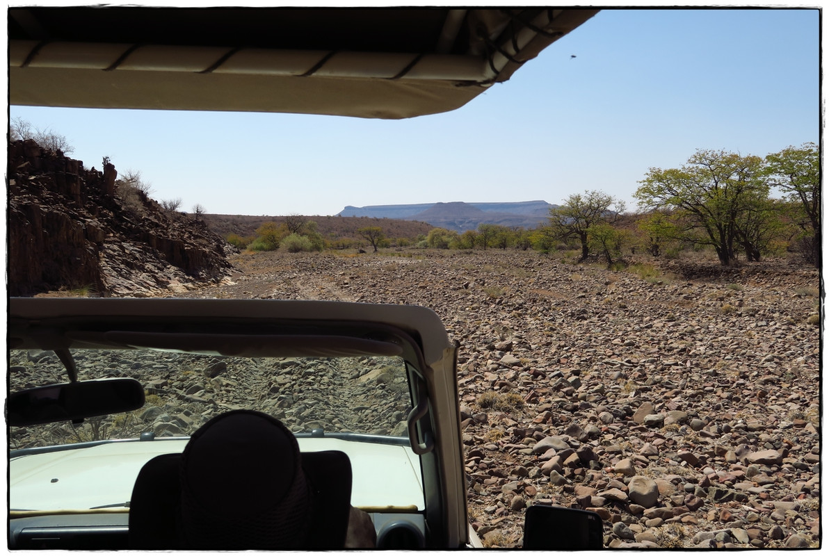 Aventuras por Namibia, Botswana y Cataratas Victoria a nuestra bola - Blogs de Africa Sur - Damaraland y Rhino Tracking (10)