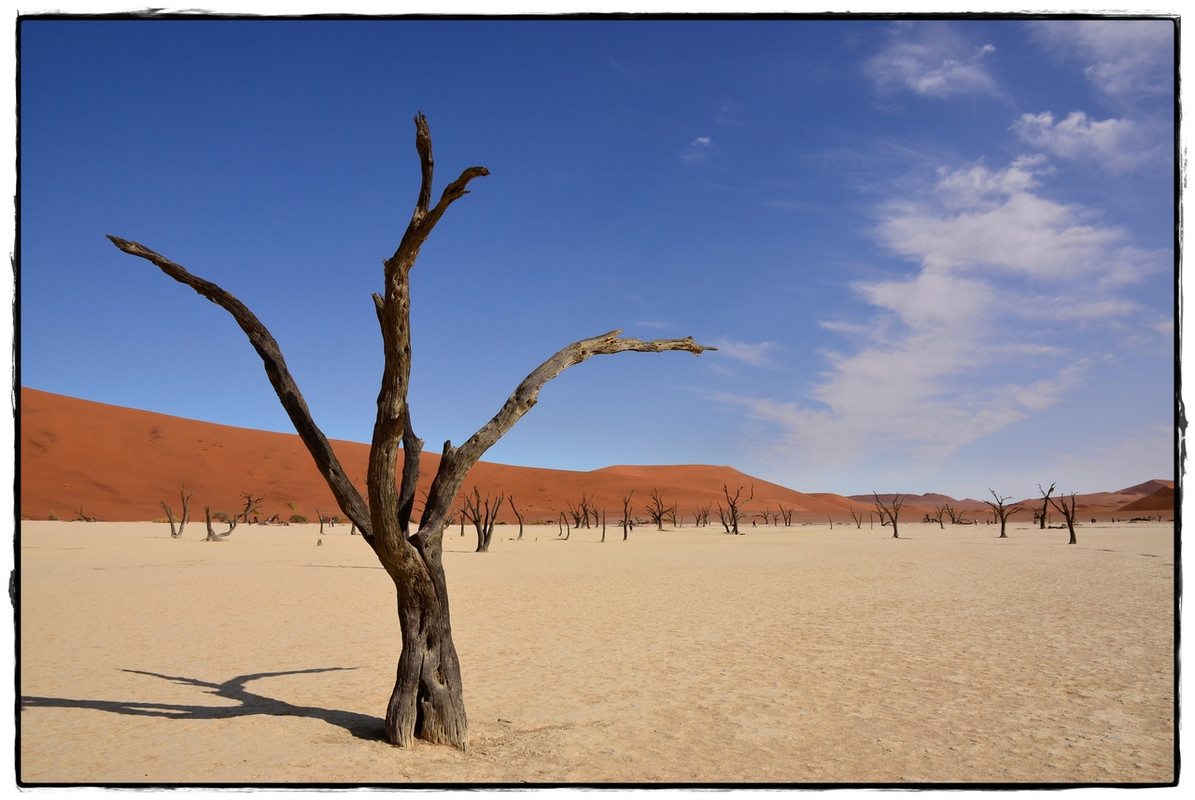 Aventuras por Namibia, Botswana y Cataratas Victoria a nuestra bola - Blogs de Africa Sur - Sesriem y el desierto rojo (15)