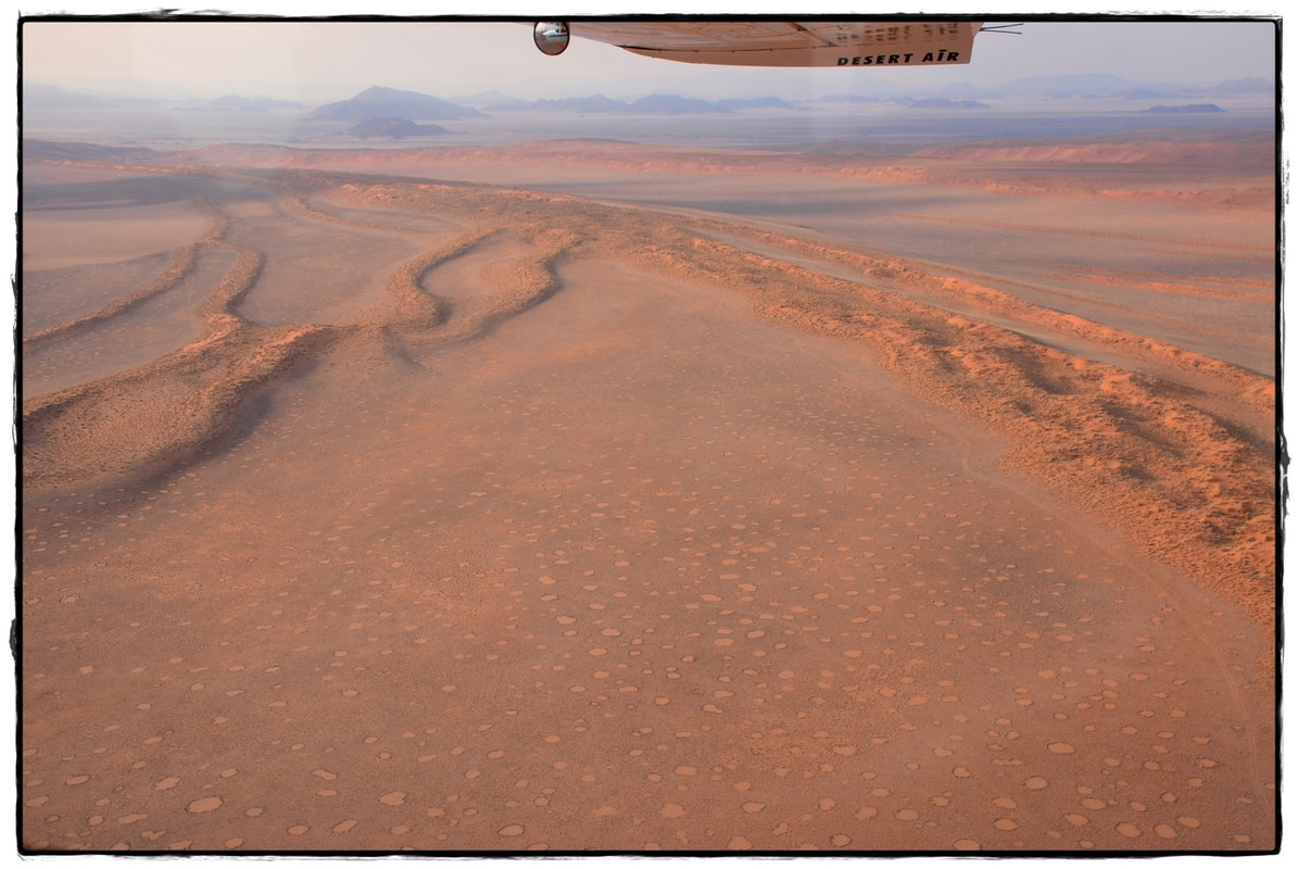 Aventuras por Namibia, Botswana y Cataratas Victoria a nuestra bola - Blogs de Africa Sur - Sesriem y el desierto rojo (25)