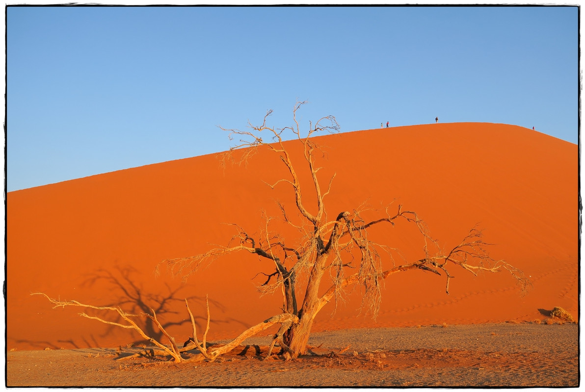 Aventuras por Namibia, Botswana y Cataratas Victoria a nuestra bola - Blogs de Africa Sur - Sesriem y el desierto rojo (5)