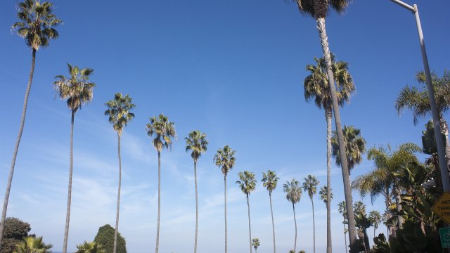 La Jolla y Coronado Island, San Diego - Costa Oeste EE.UU 2014 (1)