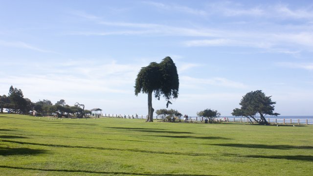 La Jolla y Coronado Island, San Diego - Costa Oeste EE.UU 2014 (4)