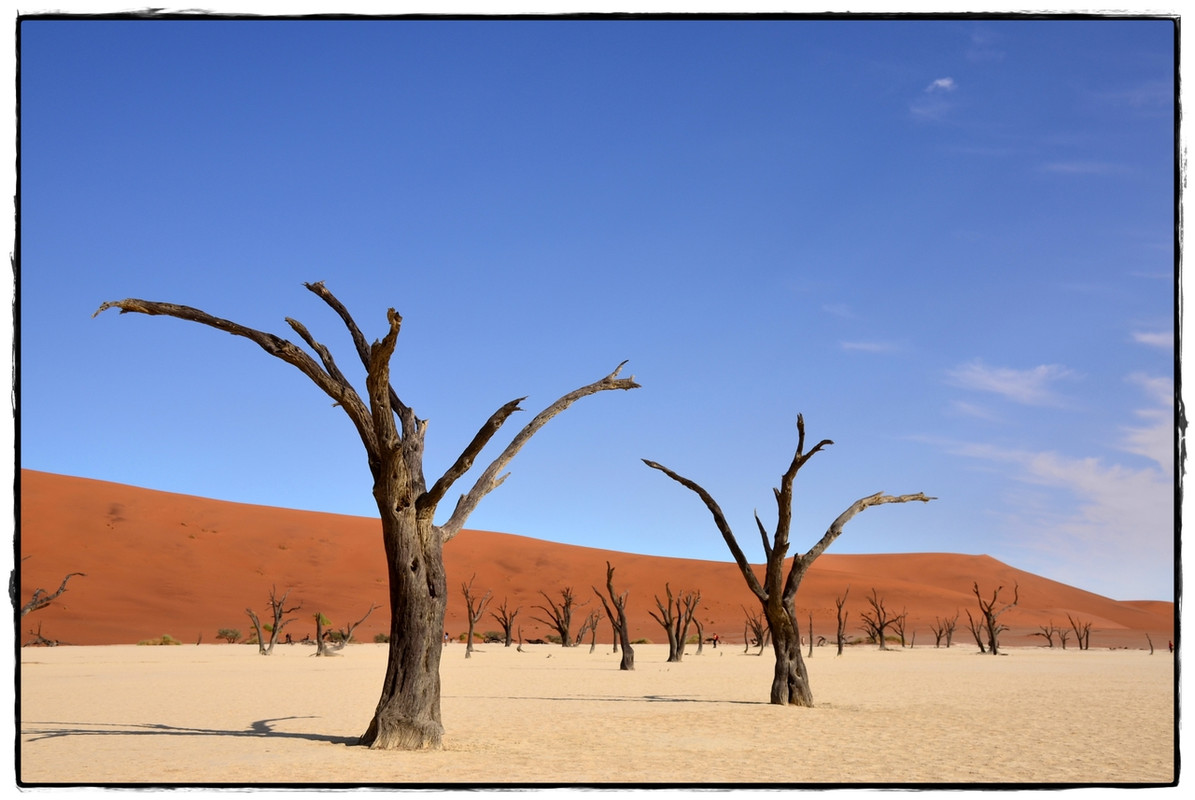 Aventuras por Namibia, Botswana y Cataratas Victoria a nuestra bola - Blogs de Africa Sur - Sesriem y el desierto rojo (14)