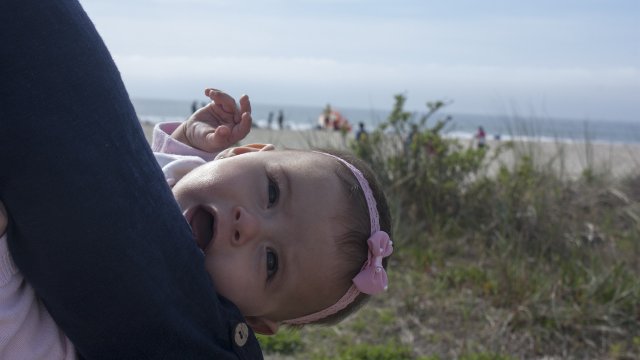 La Jolla y Coronado Island, San Diego - Costa Oeste EE.UU 2014 (7)