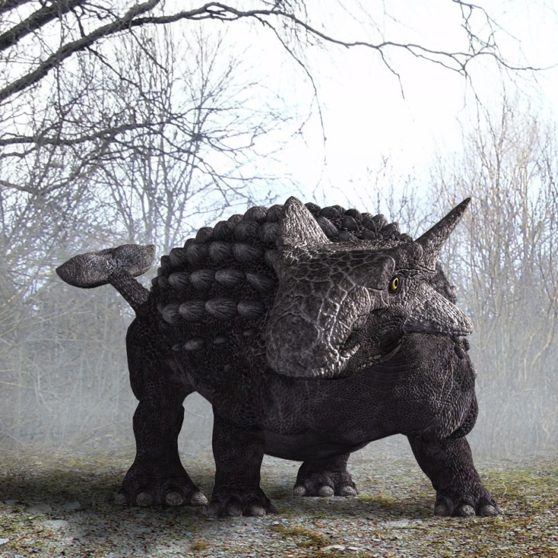 RO63280 Ankylosaurus DR