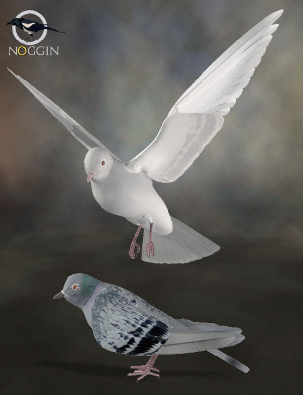 IM00001429 Poser Pigeon Daz Dove