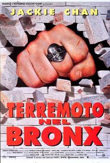 Terremoto nel Bronx (1995).mkv BDRip 480p x264 AC3 iTA