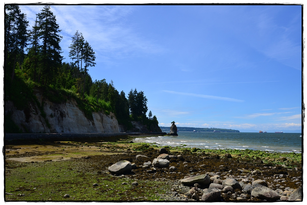Alaska por tierra, mar y aire - Blogs de America Norte - Prólogo y epílogo: Vancouver (22)