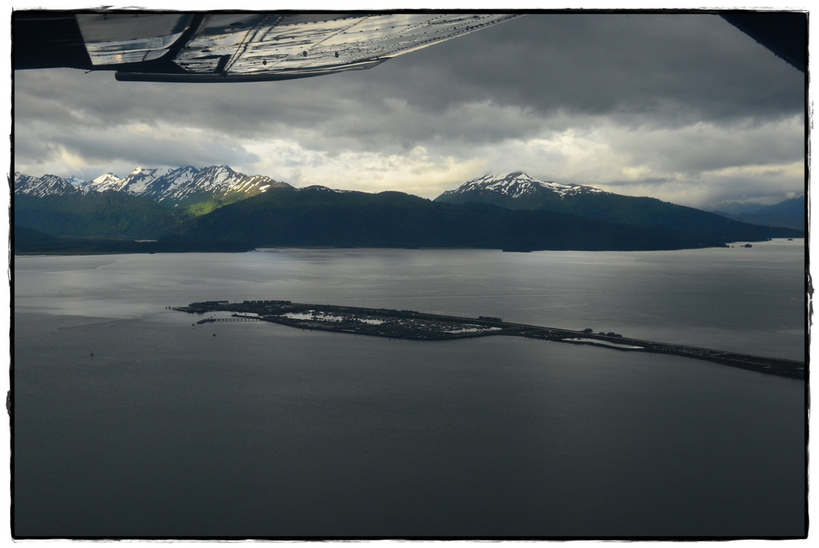 18 de junio. Osos… o no. Plan B: Kachemak Bay State Park - Alaska por tierra, mar y aire (1)