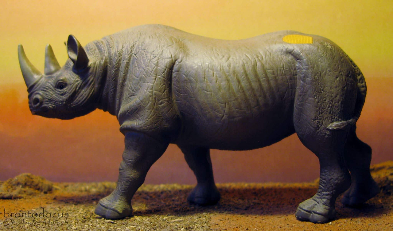 Cang toys huge rhino