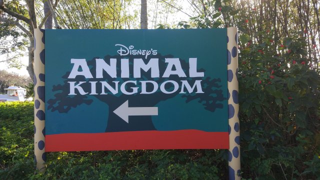 Animal Kingdom - Disney Orlando 2017 o No todos los Superhéroes llevan Capa  ;) (1)