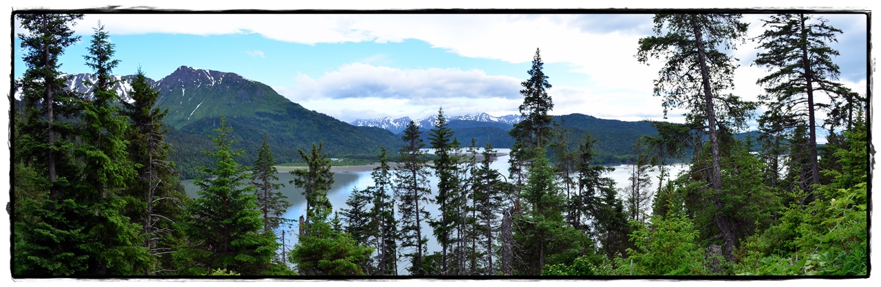 18 de junio. Osos… o no. Plan B: Kachemak Bay State Park - Alaska por tierra, mar y aire (20)