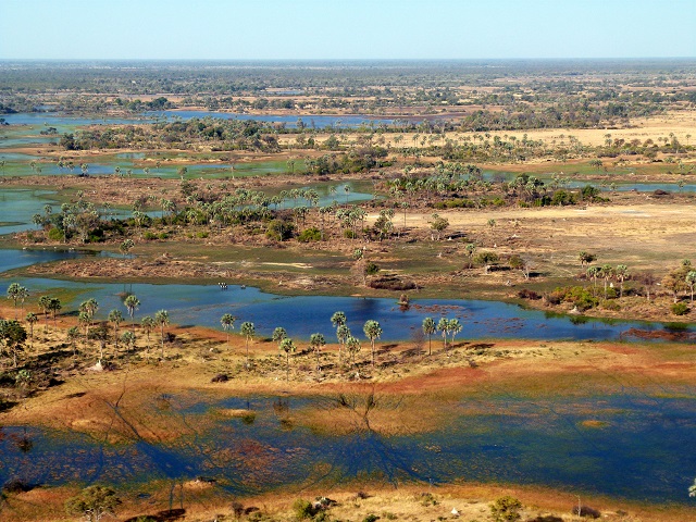 Botswana y Cataratas Victoria - Blogs de Botswana - Llegada a Maun y sobrevuelo del delta. (1)
