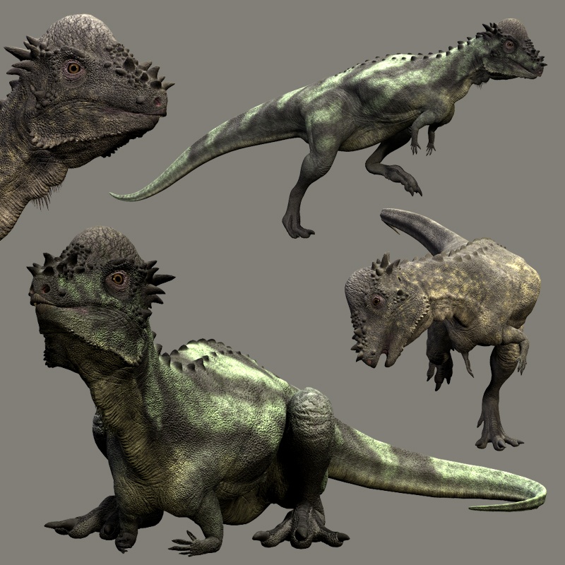 RO82505 Pachycephalosaurus DR