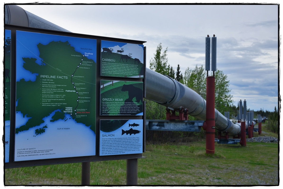 5 de junio. Camino de Valdez - Alaska por tierra, mar y aire (11)