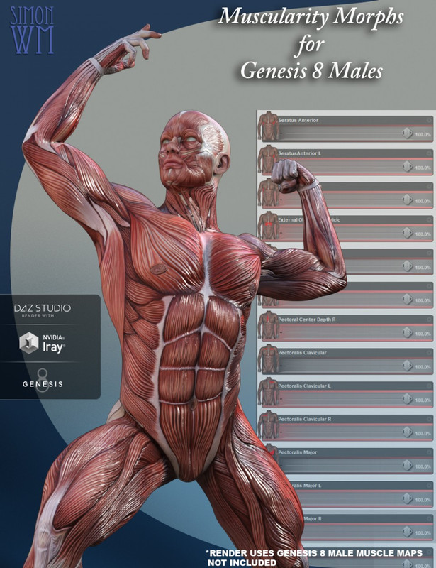 Muscularity Morphs for Genesis 8 Male(s)