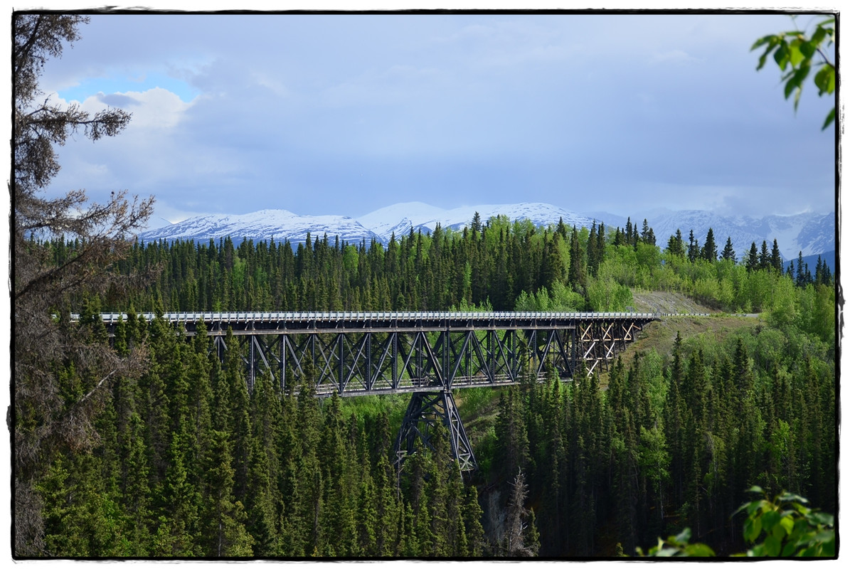 Alaska por tierra, mar y aire - Blogs de America Norte - 9 de junio. Glacier hike y vuelta a la civilización (16)