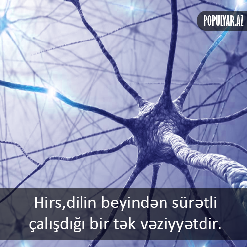 Yazılı şəkillər Yazılı şəkillər