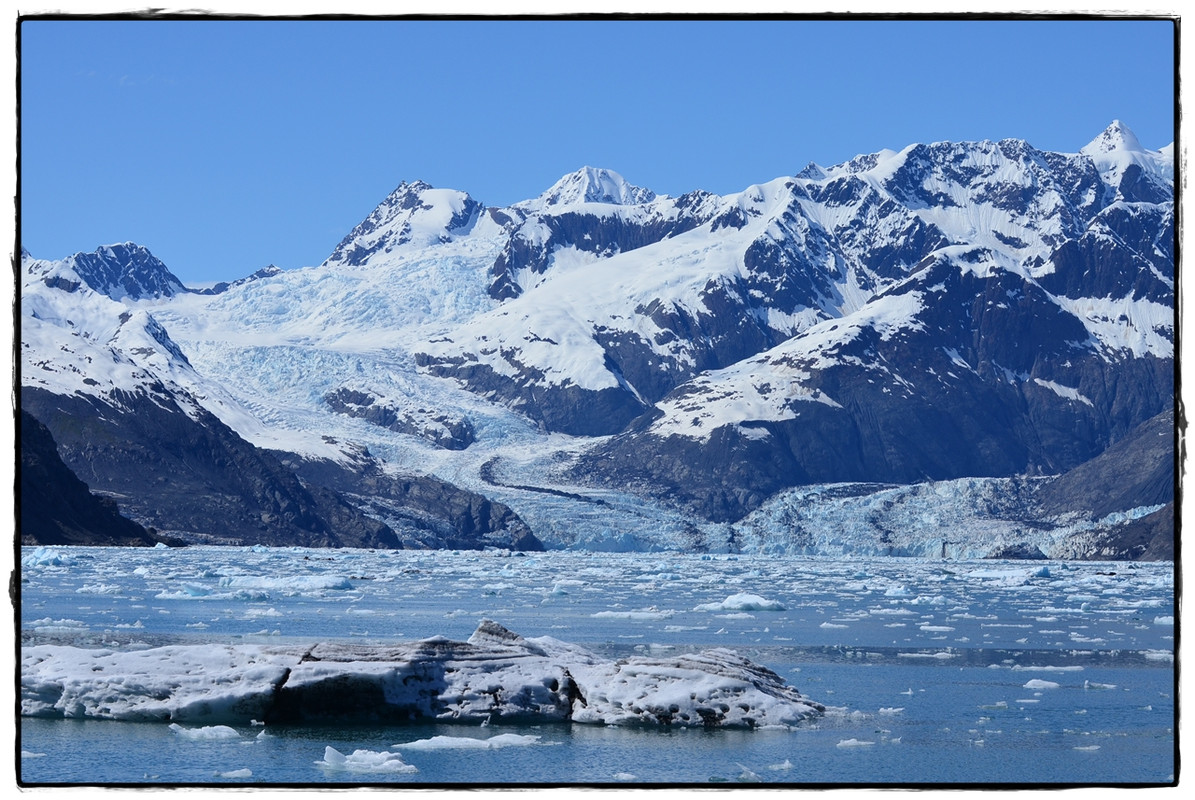 Alaska por tierra, mar y aire - Blogs of America North - 6 de junio. Crucero por el Prince William Sound (20)