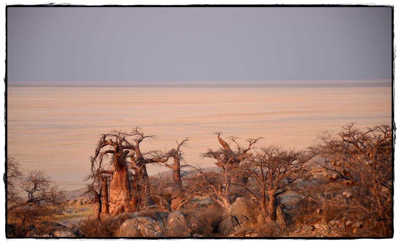 Kubu Island - Aventuras por Namibia, Botswana y Cataratas Victoria a nuestra bola (4)
