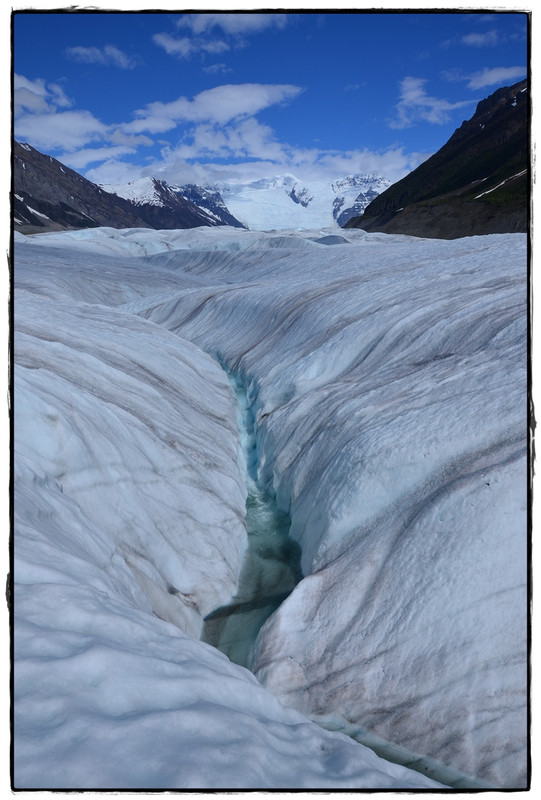 Alaska por tierra, mar y aire - Blogs de America Norte - 9 de junio. Glacier hike y vuelta a la civilización (10)