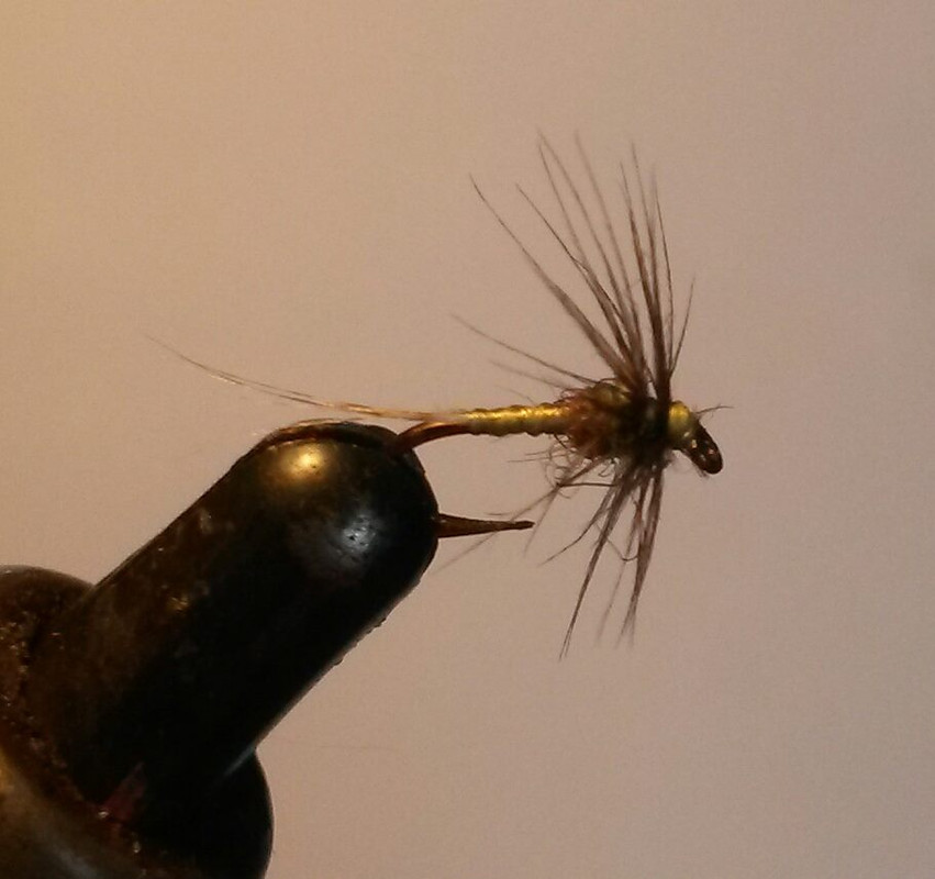Preferred Feathers For Small Soft Hackle Flies - The Classic Fly Rod Forum