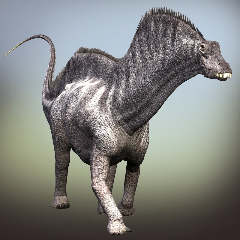 RO73353 Amargasaurus DR