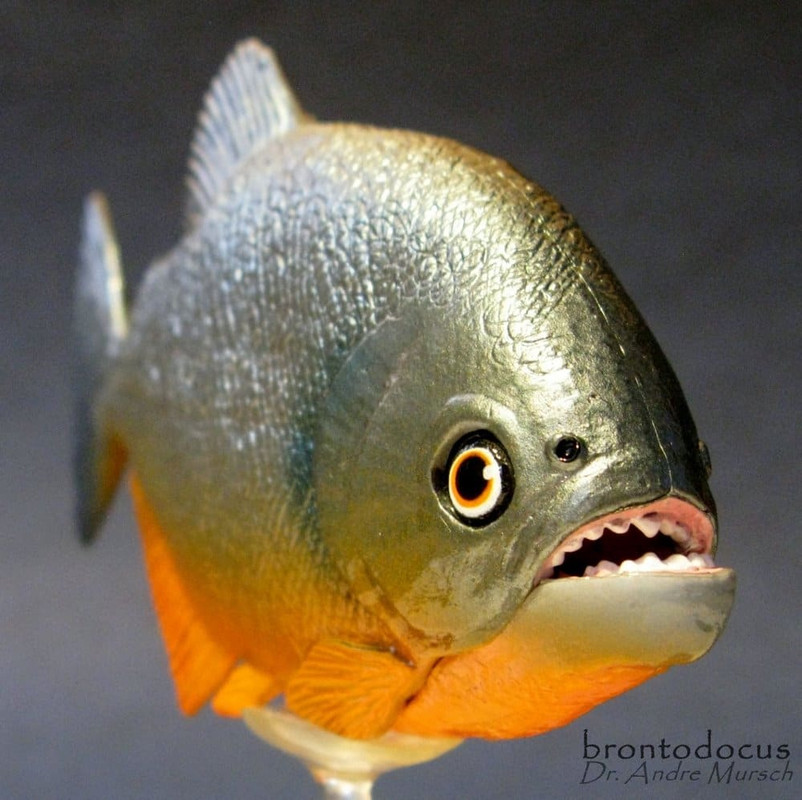 i am fish piranha level 2