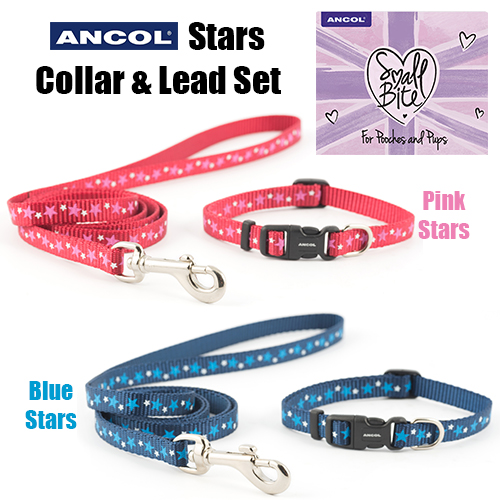 dog collar lead sets