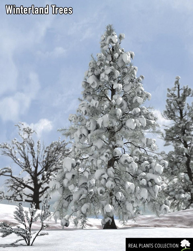 RPC Volume 2: Winterland Trees