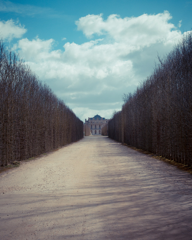 BLEED_GOLD_versailles_11_zpszitla3rh