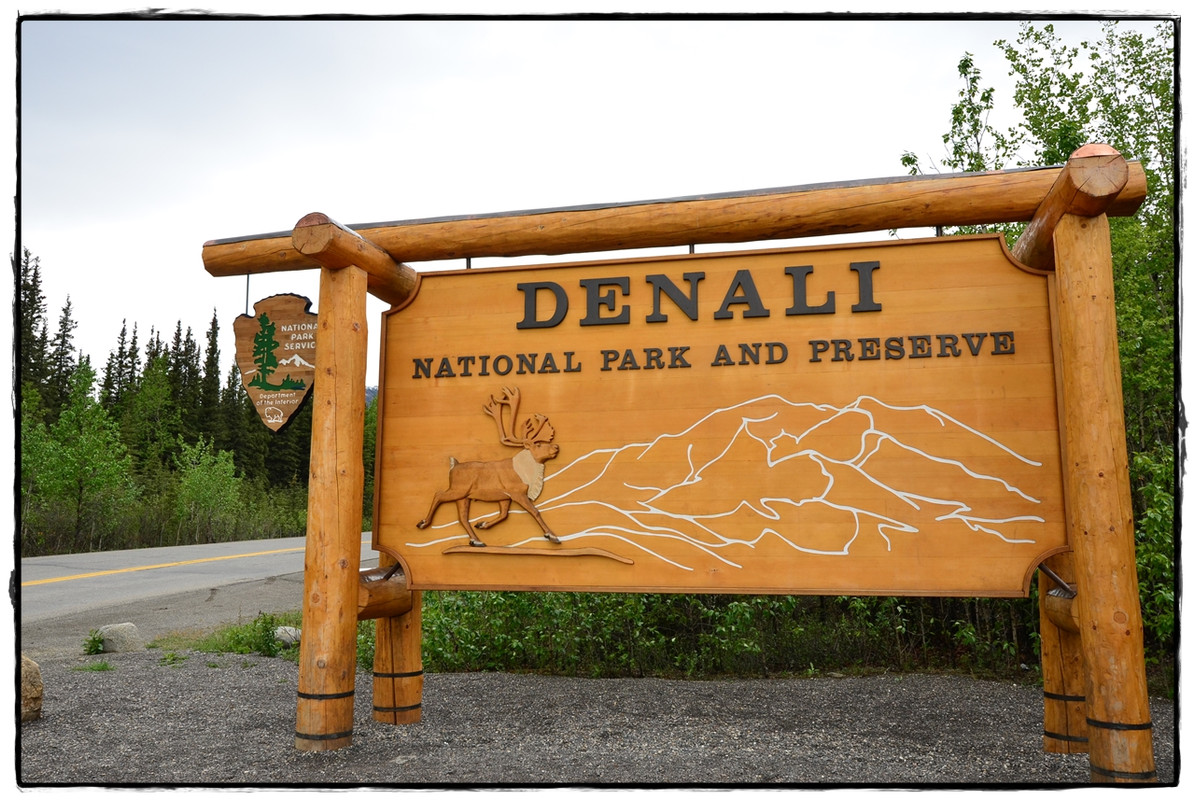 Alaska por tierra, mar y aire - Blogs de America Norte - 11 de junio. Llegamos a Denali National Park (2)