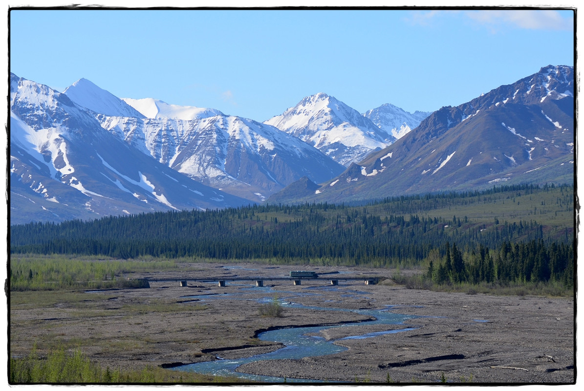 Alaska por tierra, mar y aire - Blogs de America Norte - 12 de junio. Denali NP: Bus a Wonder Lake (2)