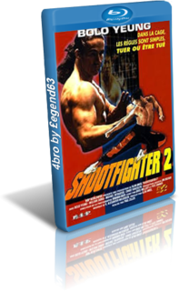 Shootfighter 2 (1995).mkv BDRip 720p x264 AC3 iTA