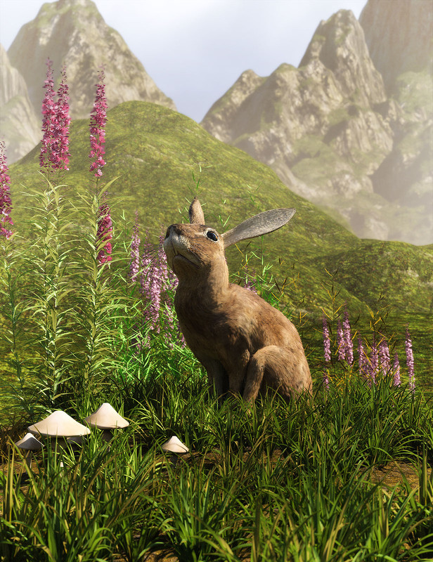 Little Patch Of Grass for Daz Studio and Iray