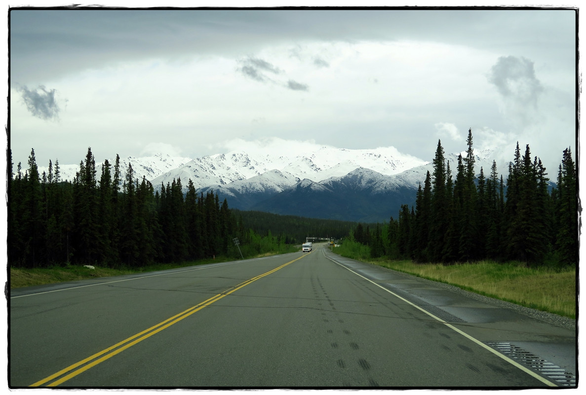 Alaska por tierra, mar y aire - Blogs de America Norte - 11 de junio. Llegamos a Denali National Park (1)