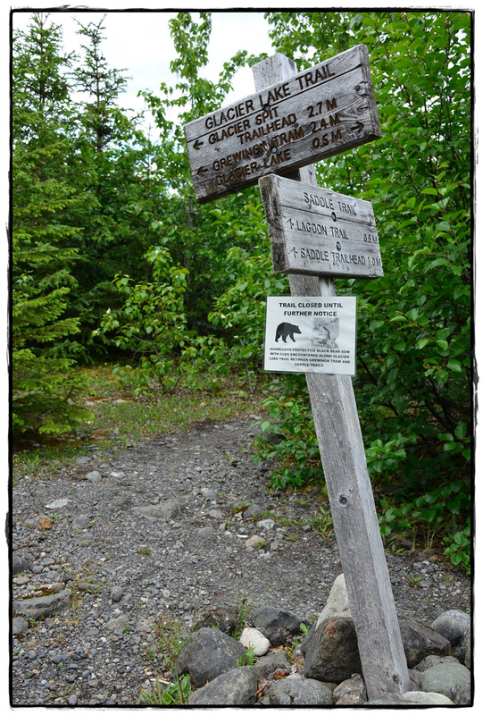 18 de junio. Osos… o no. Plan B: Kachemak Bay State Park - Alaska por tierra, mar y aire (16)