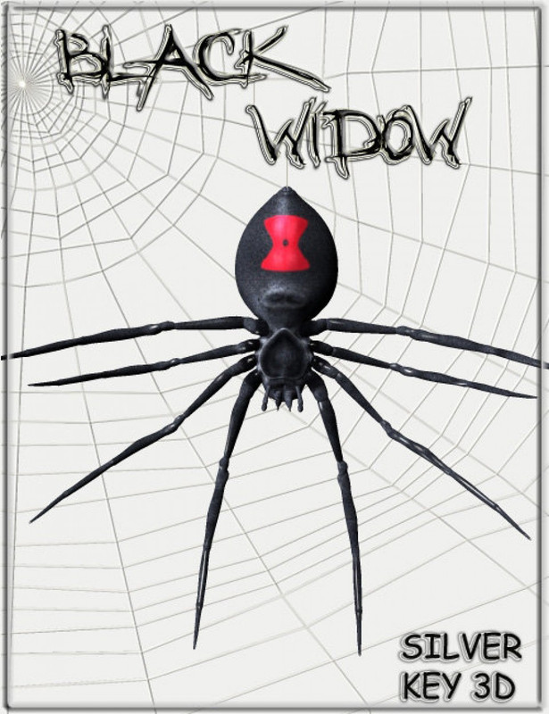 black widow spider large