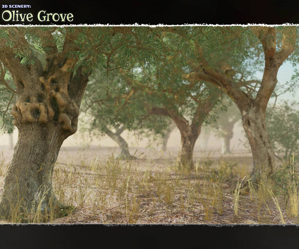 3D Scenery: Olive Grove