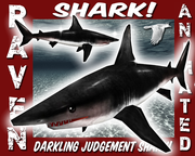 DARKLING_JUDGEMENT_SHARK_png