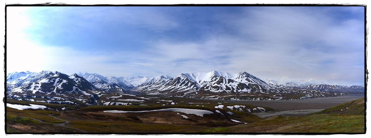 Alaska por tierra, mar y aire - Blogs de America Norte - 12 de junio. Denali NP: Bus a Wonder Lake (9)