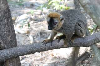 Madagascar, inolvidable - Blogs de Madagascar - Casi un mes deambulando por Madagascar. (71)