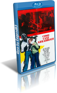 Come cani arrabbiati (1976).mkv BDRip 720p x264 AC3 iTA