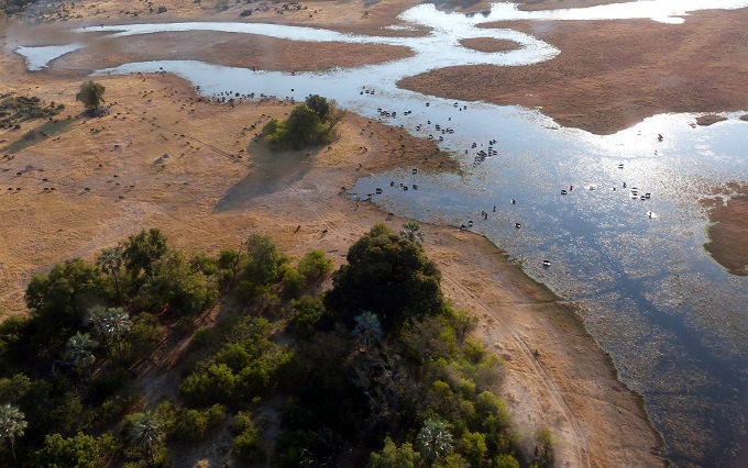 Botswana y Cataratas Victoria - Blogs de Botswana - Llegada a Maun y sobrevuelo del delta. (2)