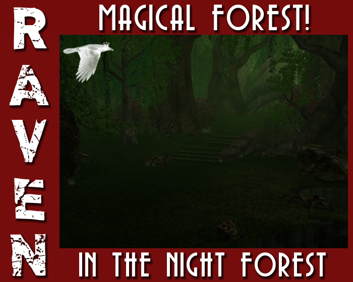 FOREST_NIGHT_FOREST_ROOM_png