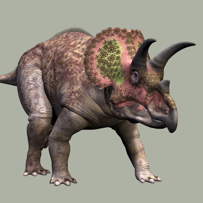 RO77529 Triceratops DR