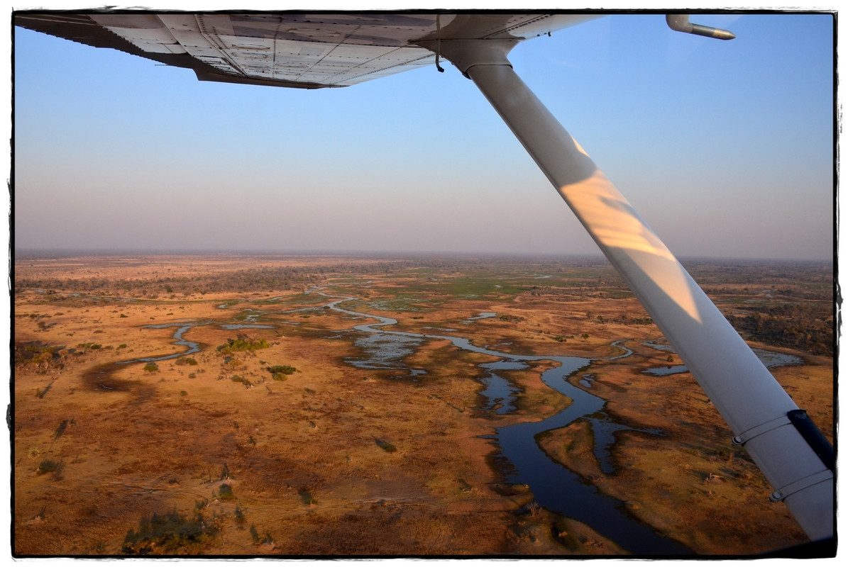 Maun - Aventuras por Namibia, Botswana y Cataratas Victoria a nuestra bola (10)