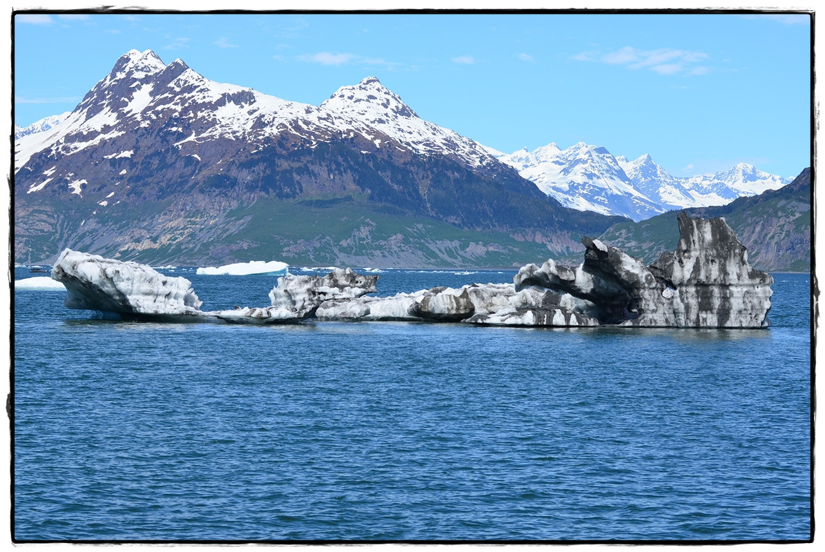 Alaska por tierra, mar y aire - Blogs of America North - 6 de junio. Crucero por el Prince William Sound (16)